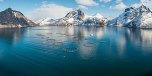 Mefjord-Vinter-SalMar-higres-scaled