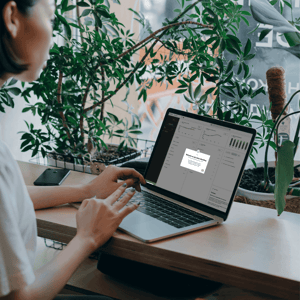 eye-share Workflow